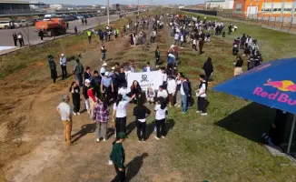 Масштабная экологическая акция в Астане: более 1000 участников высадили саженцы для улучшения качества воздуха