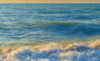 Открытый аукцион на земельные участки у озера Балхаш: новые возможности для инвесторов и развитие туристической инфраструктуры в Жетісу