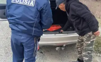 Акция по защите рыб в ВКО: борьба с браконьерством и сохранение экосистемы