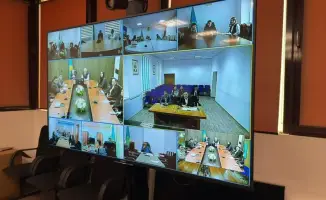 Саранча под контролем: МСХ и ФАО объединяются!