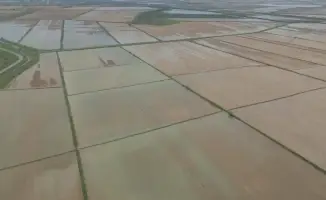 Туркестанская область получила 400 млн кубометров воды