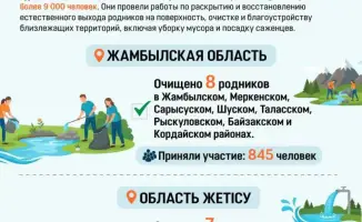В южных регионах Казахстана очищены 30 родников в рамках акции «Мөлдір бұлақ» с участием более 9 000 человек.