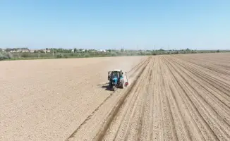 Мактаарал: старт посевной кампании хлопка