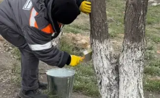 Экологическая акция по формированию культуры и ответственности за окружающую среду в Павлодарской области