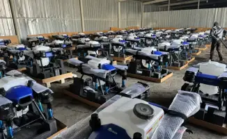 Использование агродронов для защиты сельского хозяйства от саранчовых: новый подход к фитосанитарным рискам