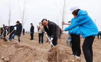 Тараз: 10 тысяч деревьев высажено в рамках акции 'Таза Қазақстан'