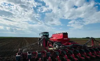 Планируемые посевные площади в южных регионах Казахстана: 804 тысячи гектаров засеяно в 2023 году