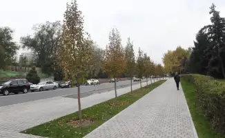 Ежедневная уборка Алмалинского района Алматы более 1000 человек