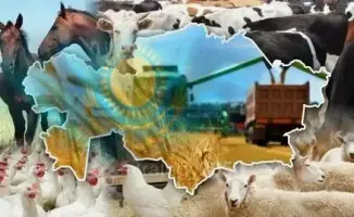 Животноводство Абай 2025 объемы производства мяса молока яиц меда шерсти