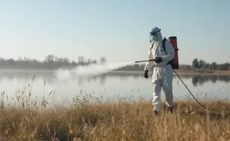 В Балхаше стартовали дезинсекционные работы против комаров