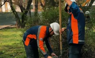 В Алматы прошли субботники на строительных и социальных объектах