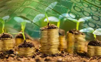 Казахстан установил рекорд по экспорту сельхозпродукции в 2025 году благодаря льготному кредитованию