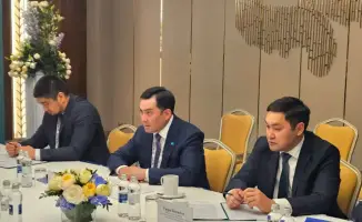 Казахстан и эксперты ООН обсудили пути развития энергетической устойчивости и внедрения низкоуглеродных технологий