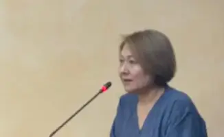 В Костанайской области состоялась встреча с международными экспертами по вопросам госслужбы и академического образования