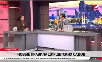 Новый рубеж: лицензирование детских садов как ключ к безопасному и качественному детству