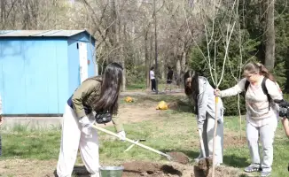 В Алматы открыта новая аллея журналистов и блогеров в рамках экологической инициативы