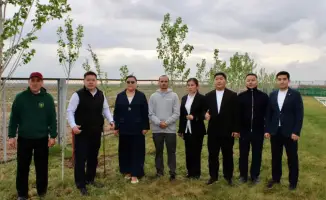 Деревья высажены в реабилитационном центре "Самғау" в рамках акции "Таза Қазақстан"