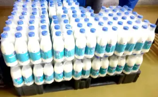 В Усть-Каменогорске соберутся умы агропрома на юбилейном форуме «PRO МОЛОКО 2026 & QazaqSut»