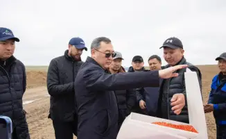 Фермеры Жамбылского района увеличивают посевные площади, преобразуя пастбища в сельскохозяйственные угодья