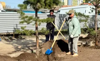 Астана: акция по озеленению и благоустройству