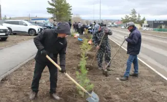 В Каркаралинске высадили 100 сосен в честь 80-летия Токтара Аубакирова, объединяя молодежь и ветеранов в заботе о природе.