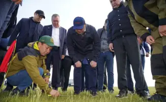 Казахстан снижает объем химических обработок против саранчовых до 2,2 млн га в 2026 году