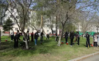 Творческие сердца Астаны: экология в действии!