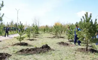 1500 деревьев для Караганды: природа в действии!