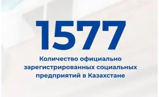 Рост числа субъектов социального предпринимательства в Казахстане свидетельствует о развитии сектора