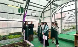 Экологическое воспитание школьников в Астане: формирование ответственности за природу через практическое обучение