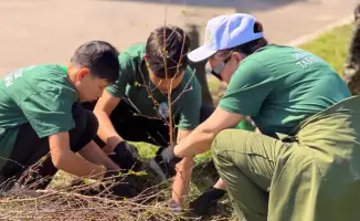 Школьники участвуют в экологической акции по высадке деревьев в Алматинском заповеднике
