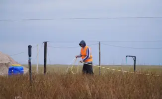 Аким Акмолинской области акцентирует внимание на важности лесовосстановления и международном сотрудничестве в сфере озеленения.