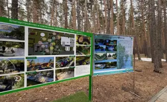 В Щучинске начнется строительство современного экопарка с аллеями и спортивными площадками