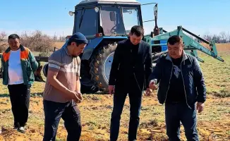 Весенние полевые работы активно стартуют в Шалкарском районе