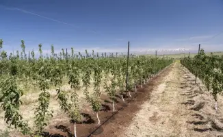 В Тюлькубасском районе Туркестанской области шесть хозяйств начнут внедрение технологий водосбережения на 500 га
