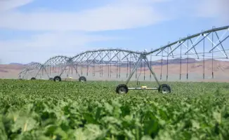 Социальные меры для повышения эффективности водопользования в условиях сезонного роста потребления