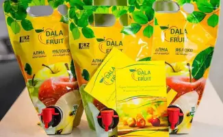 Түркістан облысындағы «Dala Fruit» агроөнеркәсіптік кешені жеміс өндіру мен шырын жасау саласында жұмыс істеп жатыр