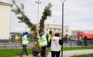 В Ордабасынском районе прошла экологическая акция: более 300 участников высадили 1200 саженцев и вывезли 16 тонн мусора