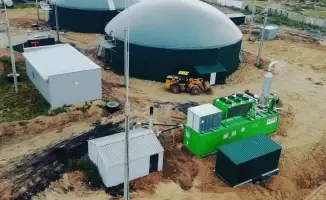 Карагандинская птицефабрика произвела 15 миллионов киловатт-часов электроэнергии из птичьего помёта