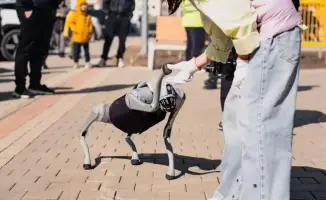 Массовая экологическая акция в Астане: 40 тысяч участников собрали 100 тонн мусора