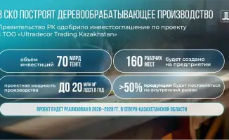 Правительство Казахстана одобрило инвестиционное соглашение на строительство деревообрабатывающего завода в Северо-Казахстанской области