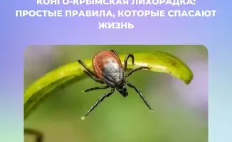 Конго-Крымская геморрагическая лихорадка: международные рекомендации по безопасности и защите