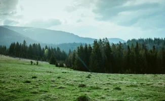 Астана готовится к резкому похолоданию, а Алматы столкнется с грозами: возможные последствия для жителей и инфраструктуры в период с 25 по 27 апреля