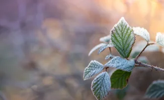 Погода в Астане и Алматы: заморозки и дожди ожидаются в Казахстане с 26 по 28 апреля