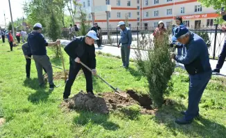 Субботник в Жетысайском районе участие местных властей и деятелей искусства