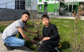 Озеленение школьного двора в Астане: вклад в экологическое сознание будущих поколений