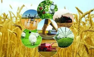 Атырауская область: более 100 проектов в рамках программы «Ауыл аманаты» для развития сельских инициатив