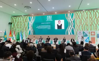Вода под давлением: как климат меняет правила игры?