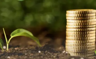 Фермеры начинают подавать заявки на субсидирование страховых премий в агросекторе