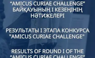 Развитие экспертного потенциала в конституционном и судебном производстве Казахстана: последствия для юридического образования